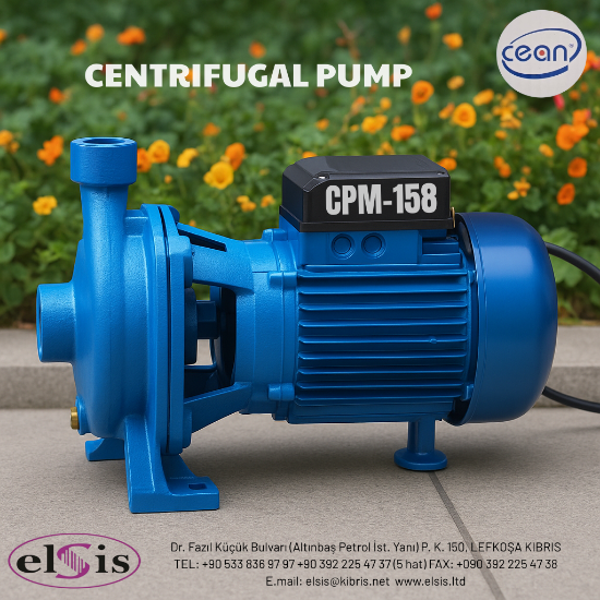 1 Hp 1 Inç Su Motoru resmi