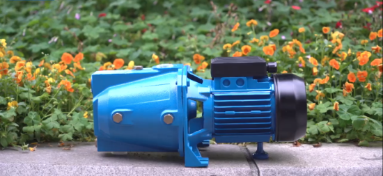 JET-100B 1 HP Jet Pompa Su Motoru resmi