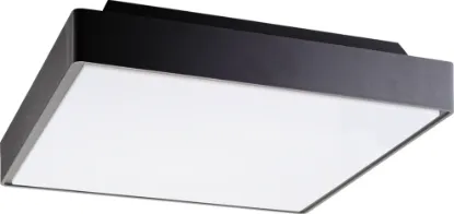 P4001 Tavan Lambası resmi