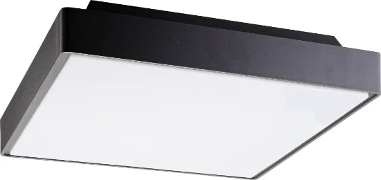 P4001 Tavan Lambası resmi