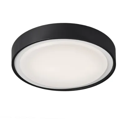 P25833 Tavan Lambası resmi